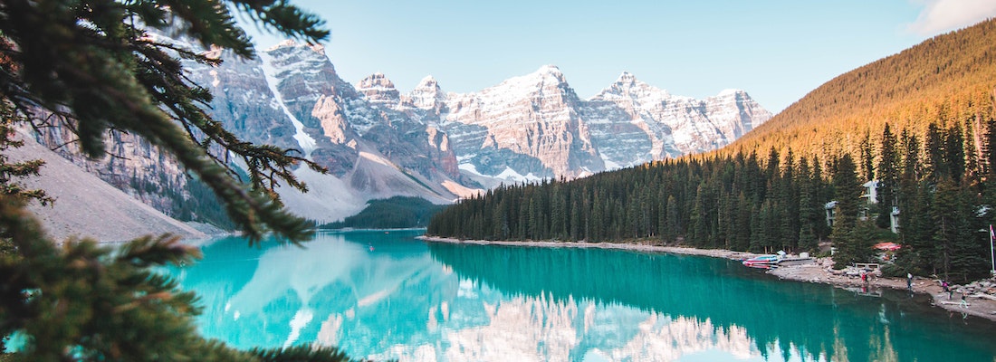 pexels-jaime-reimer-2662116
